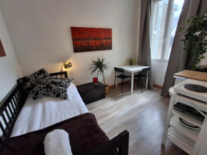 Appartement plein centre chez Eric n3
